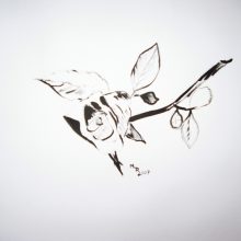 Rose in Schwarz Weiß