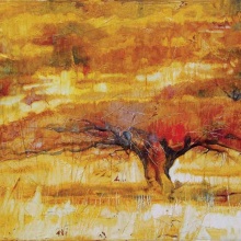 Savanne 70x100