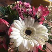 Blumen Konzert 20.Feb. 2020