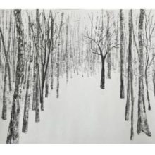 Spaziergang im Wald&nbsp;