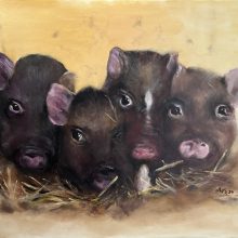 Die vier kleinen Schweinchen Öl 60x80