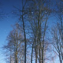 Winter_1