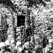 Stadtmauer