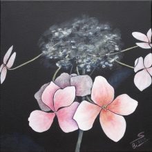 Tellerhortensie