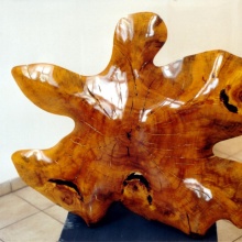 “Heart of Gold” Pappel/Schellackpolitur, 2002