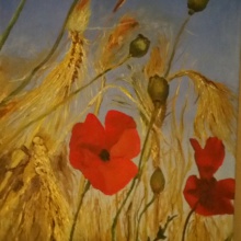 Mohnblumen
