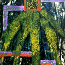Ayahuasca