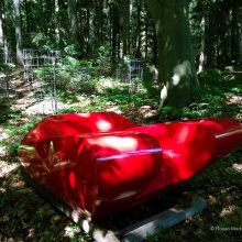 Die Dominanz der Farbe
