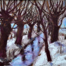 Kopfweiden XIII, 2008, 20 x 30 cm, Ölkreide/Papier