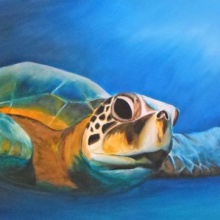 Turtle