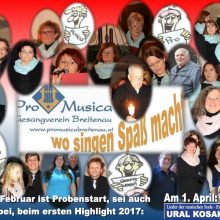 Collage_Februar 2017