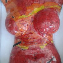 Torso Raku