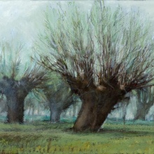 Kopfweiden VI, 2007, 24 x 30 cm, Öl/Leinwand