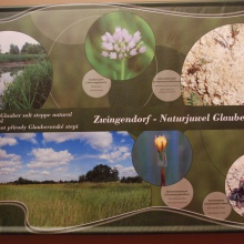 Zwingendorfer Dorfmuseum - Naturschutzschauraum Bild 1