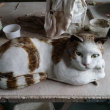 tabby cat