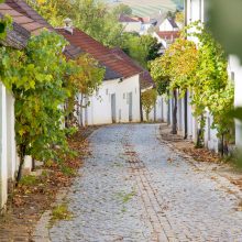 Kellergasse Bürsting