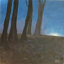 Wald bei Nacht