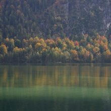 Almsee