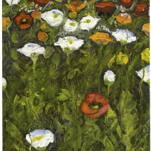 Weißer und roter Mohn