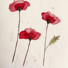 Das Flüstern der roten Blüte im warmen Abendlicht,erzählt von der Sehnsucht, die leise im Herzen bricht.❣️