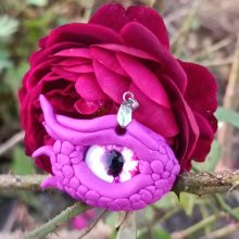 Drache Auge Rose&nbsp;
