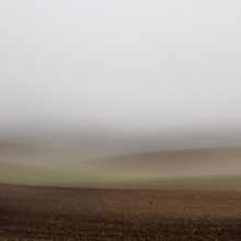 FOG