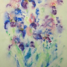 Iris aus Dreierserie
