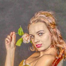 Die Rose des Kaisers