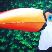 Tucan 1