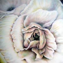 Weisser Mohn, 70x70, Acryl