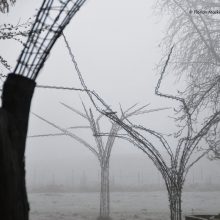 Vorboten des Winters