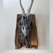 Trophäe neu interpretiert 