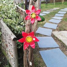Blüten wachsen aus Schwemmholz hervor