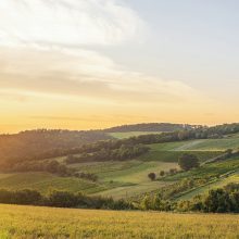 Langenzersdorf Bisambergerpanoramat