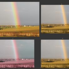 Regenbogen über Bernhardsthal