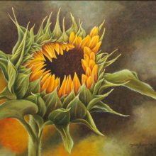 Sonnenblume