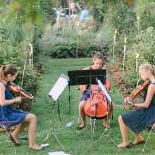 Konzert im Hofgarten