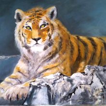 Tiger Acryl 50 x60  3-18