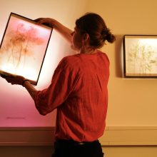 johanna mit bild