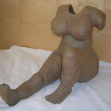 Torso