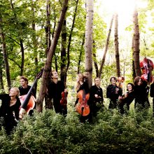 Atout - die Kammermusikgruppe