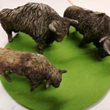 Bison
