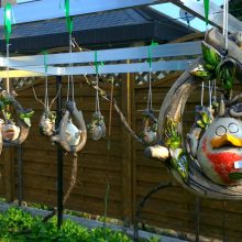 Vogelnest