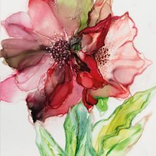 Amaryllis
