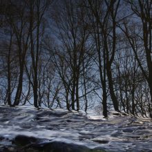 Winter_2