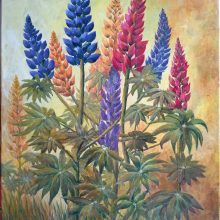 LUPINEN