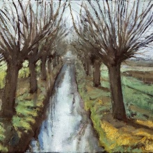 Kopfweiden V, 2007, 24 x 30 cm, Öl/Leinwand