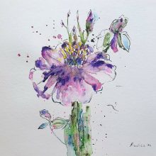Field flowers