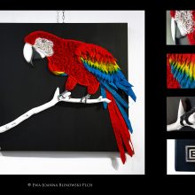 Papagei, 3D-Seilbild, 100 x 100cm