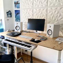 Alex Dolphin Studio
